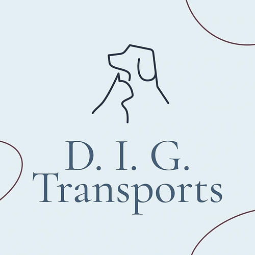 DIG Transports