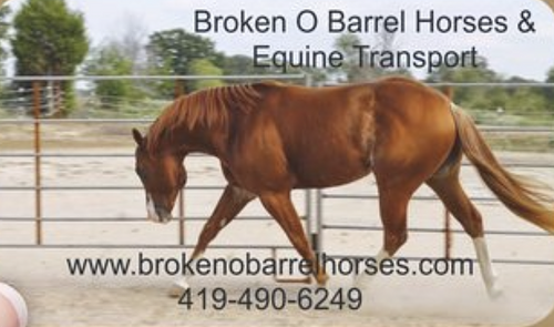 Broken O Barrel Horses