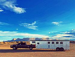 Busy B Horses LLC